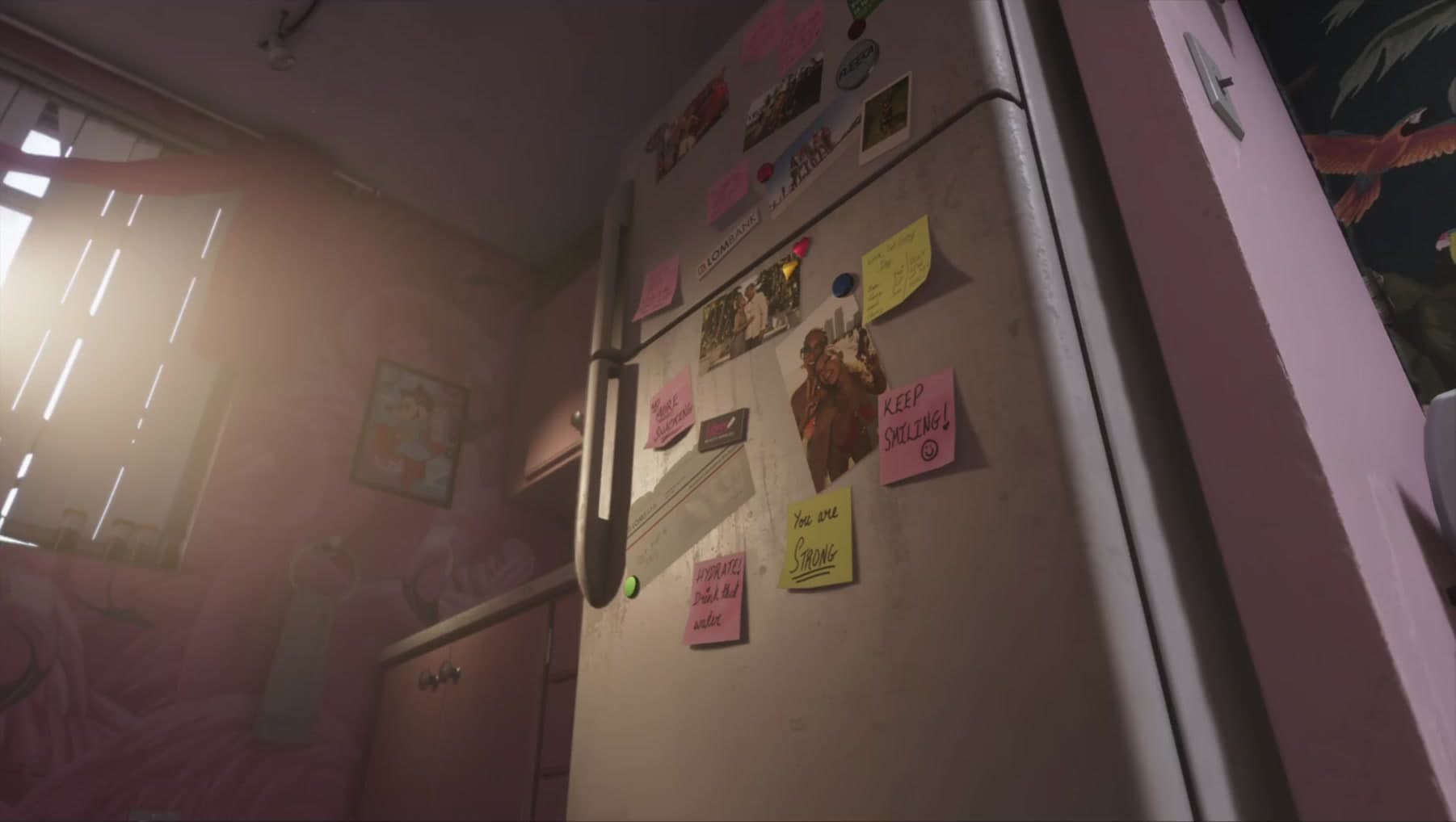 Lucia's fridge covered in handwritten affirmation notes and photos