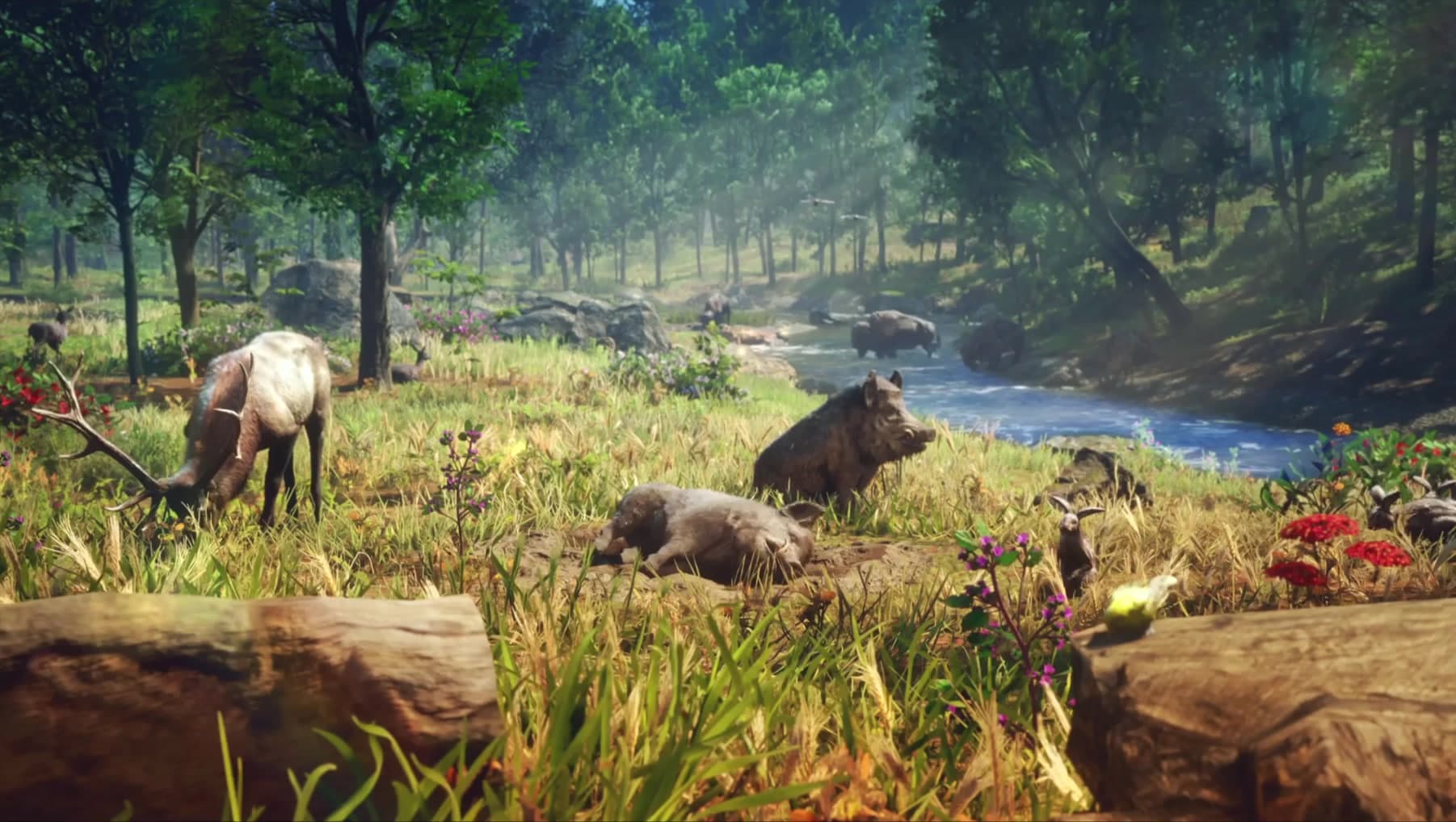 Elk grazing beside wild hogs on a riverbank in the in-game advert
